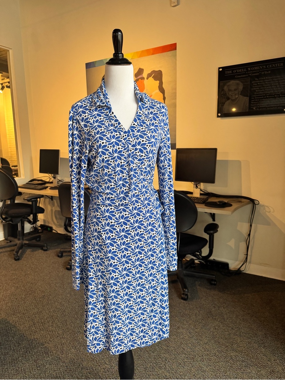Diane Von Furstenberg Blue and White Long-Sleeve Wrap Dress